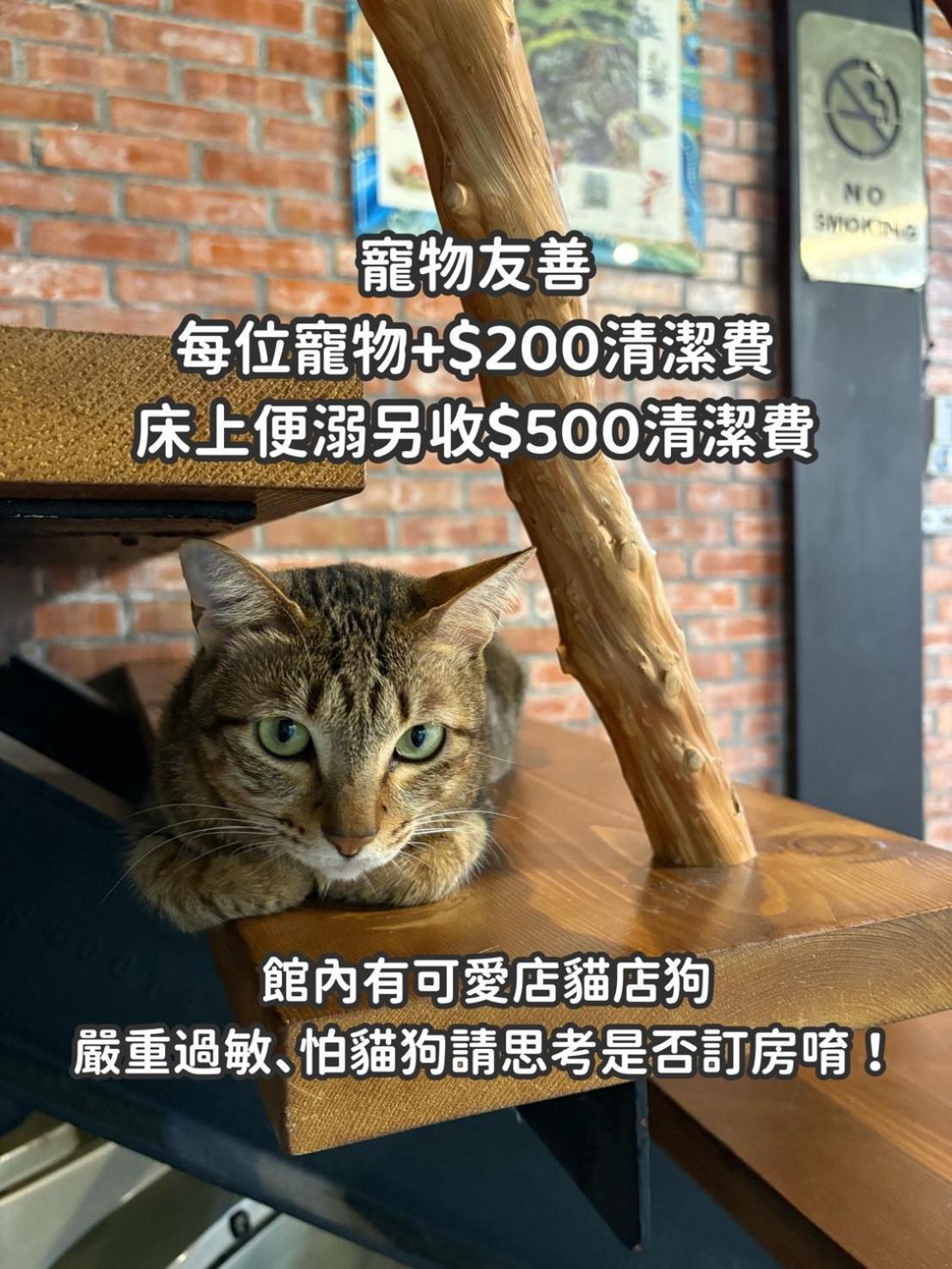 缽割貓點點 青旅 Diandian Hostel Puli Exterior foto